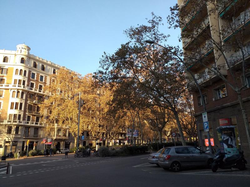 https://www.finquesfeliu.es/TAAFSynch/imagesNW/4576_1_1758887523.jpg