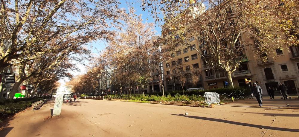 https://www.finquesfeliu.es/TAAFSynch/imagesNW/4576_43_1758887523.jpg