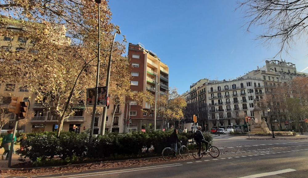 https://www.finquesfeliu.es/TAAFSynch/imagesNW/4576_45_1758887523.jpg