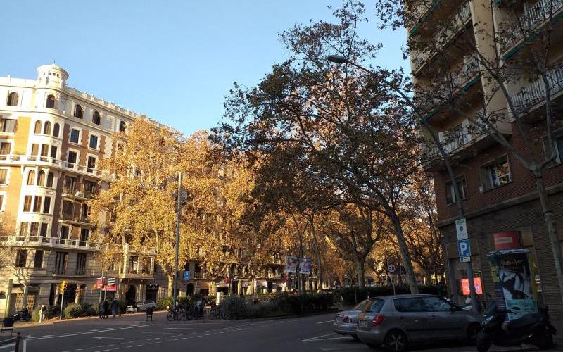 https://www.finquesfeliu.es/TAAFSynch/imagesNW/4576_1_1758887523.jpg